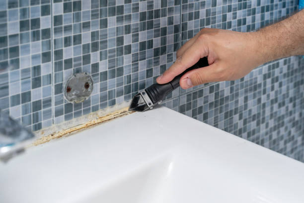 Best Kitchen Mold Remediation in Woodburn, VA